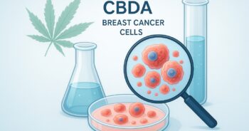 CBDA-studie om aggressiva bröstcancerceller i laboratorium