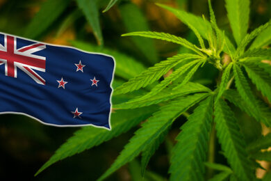 Nya Zealand cannabis flagga