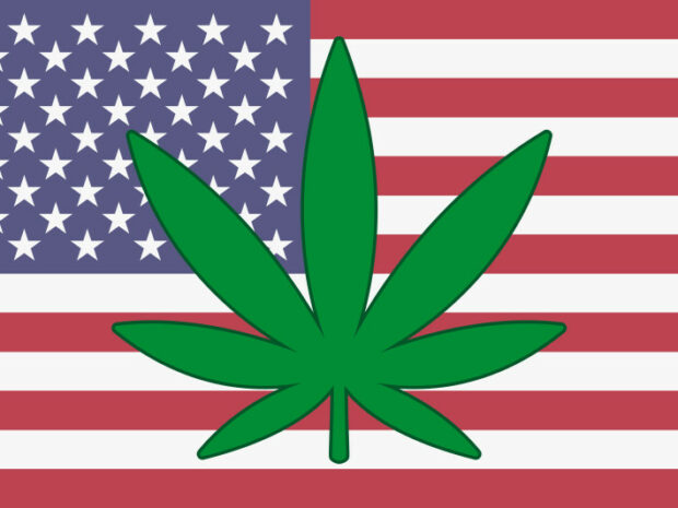 USA cannabis flagga