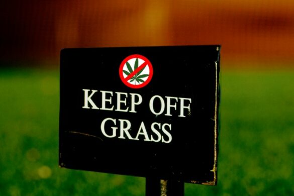Keep off grass