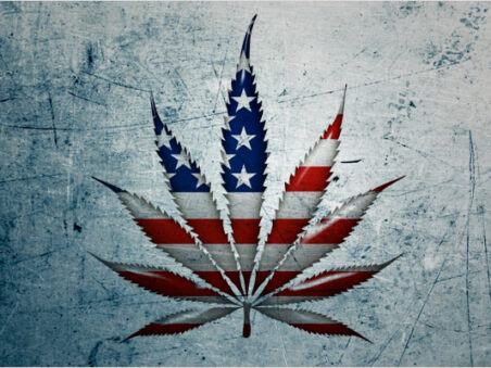USA cannabis löv