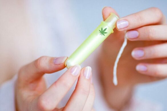 Cannabis tamponger
