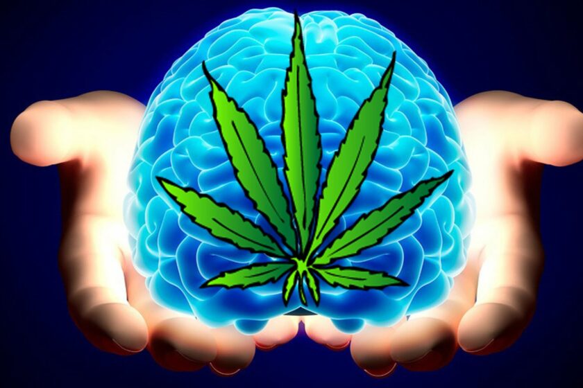 Marijuana hjärna