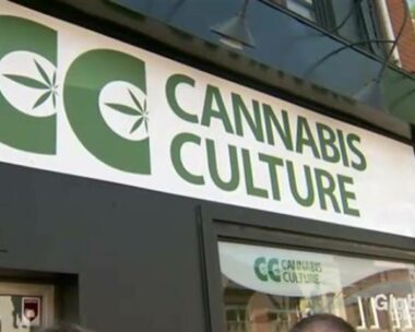 Cannabis Culture
