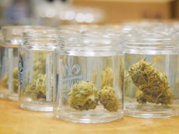 Cannabis i glasförpackning